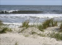 Waves breaking along the New Jersey shoreline